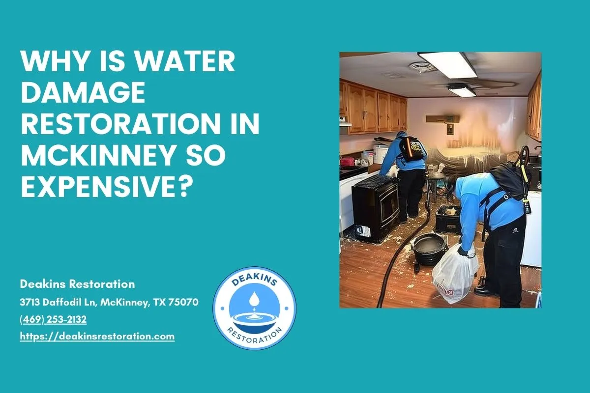 Why Is Water Damage Restoration in McKinney so Expensive